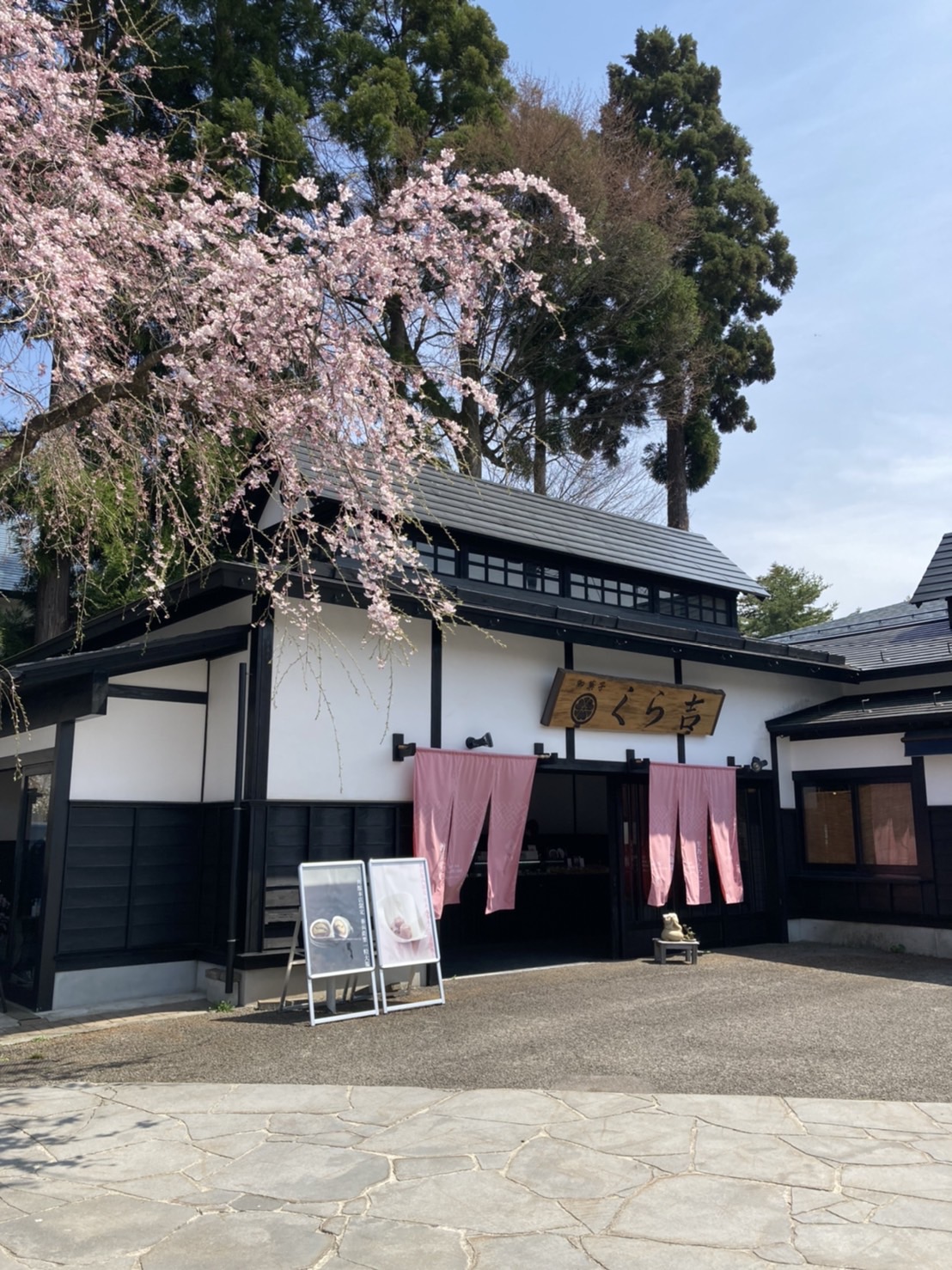 水彩画原画 枝垂れ桜・角館 水彩画原画 枝垂れ桜・角館 絵画